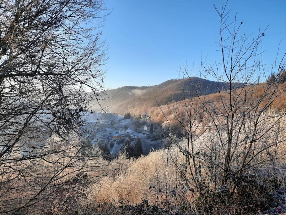 Chalet A L'Oree Du Bois Avec Parking Tournavaux Екстериор снимка