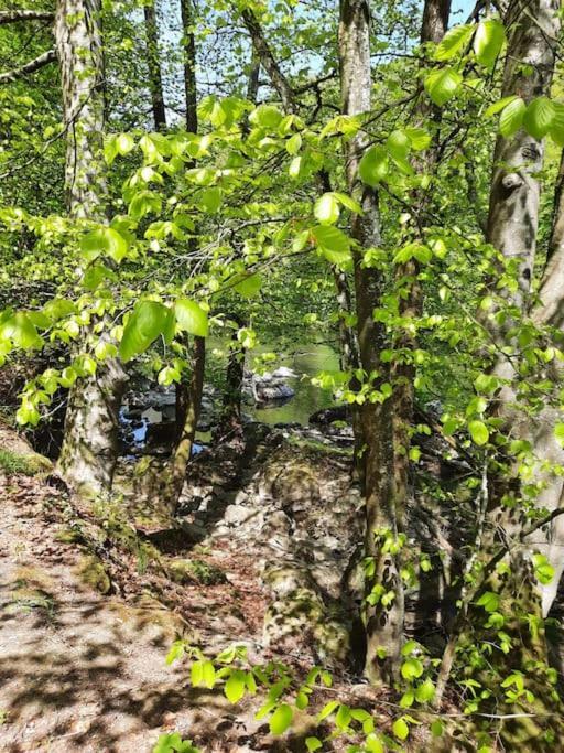 Chalet A L'Oree Du Bois Avec Parking Tournavaux Екстериор снимка